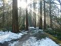 09jan_sm_vancouver_P1020146