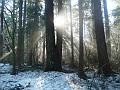 09jan_sm_vancouver_P1020152