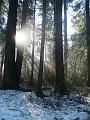 09jan_sm_vancouver_P1020154