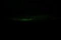201609SF_Aurora_DSC_0083r