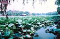 7904sm_feN3873