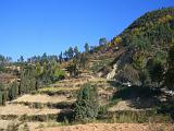 yunnan-1  2009