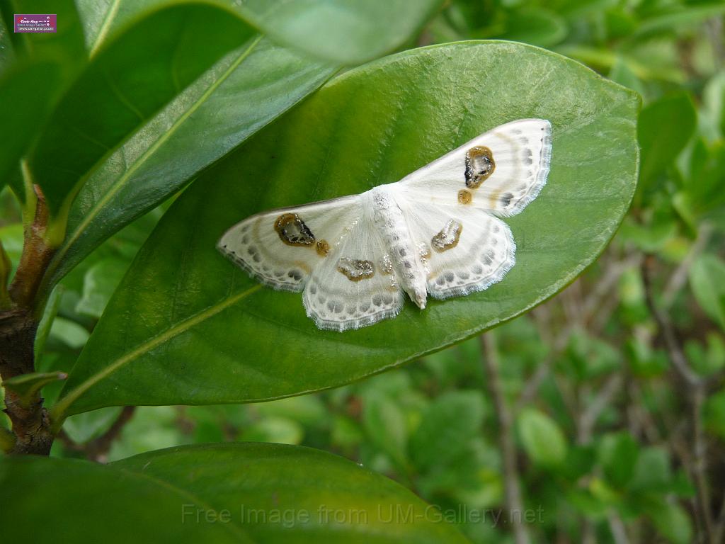 20111120wetland-park-P1080977.JPG