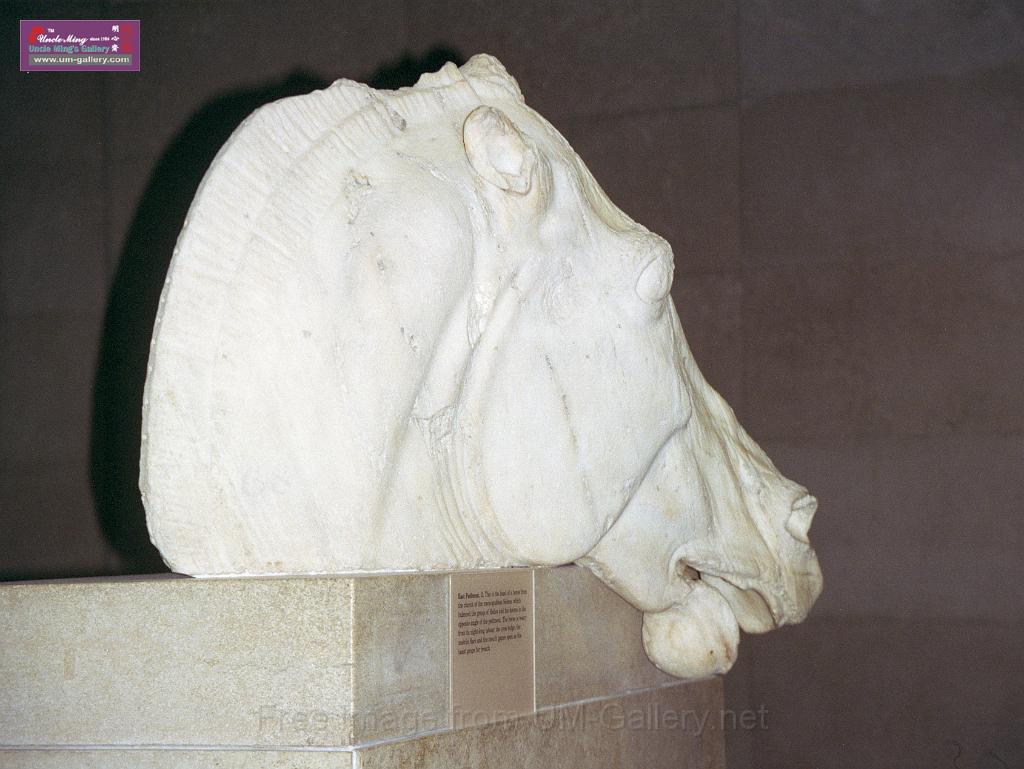 horse_head.jpg