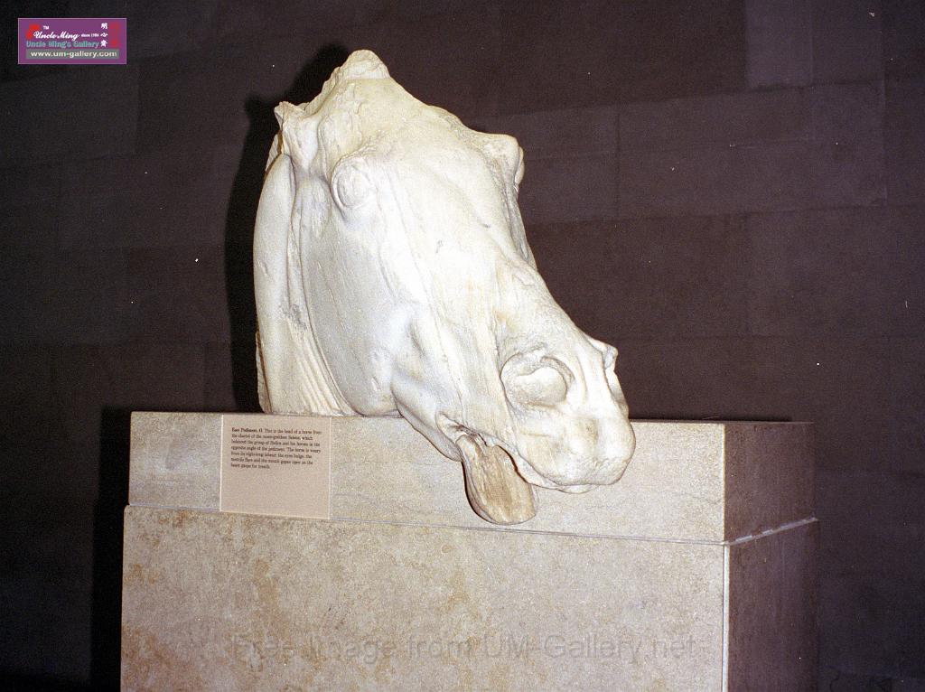 horse_head2.jpg