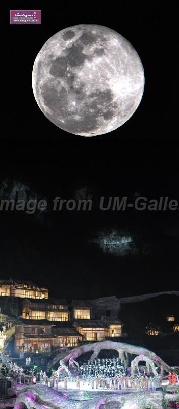 2014moon-night-party-40x90in.jpg