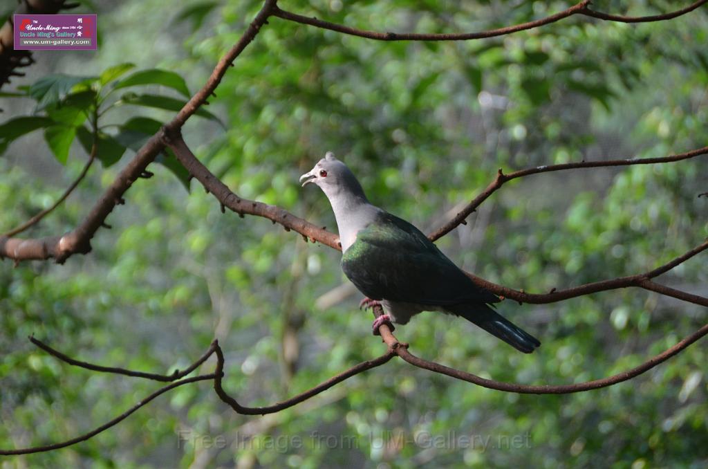 20150426jw-hk-park_DSC_0960.JPG