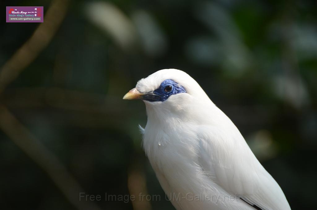 20150426jw-hk-park_DSC_0978.JPG