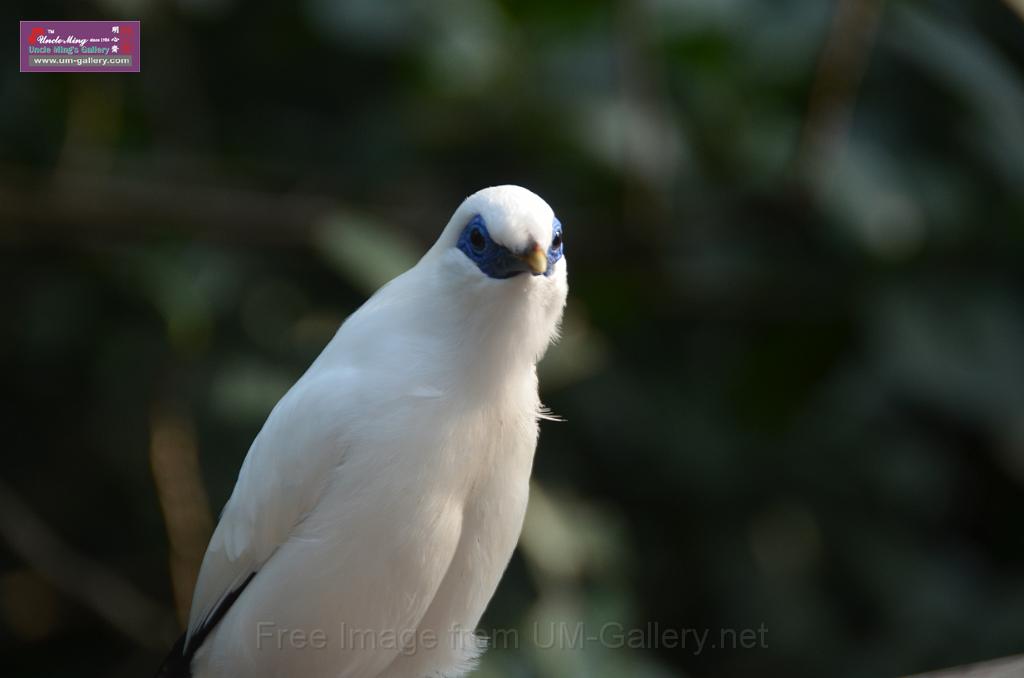 20150426jw-hk-park_DSC_0981.JPG