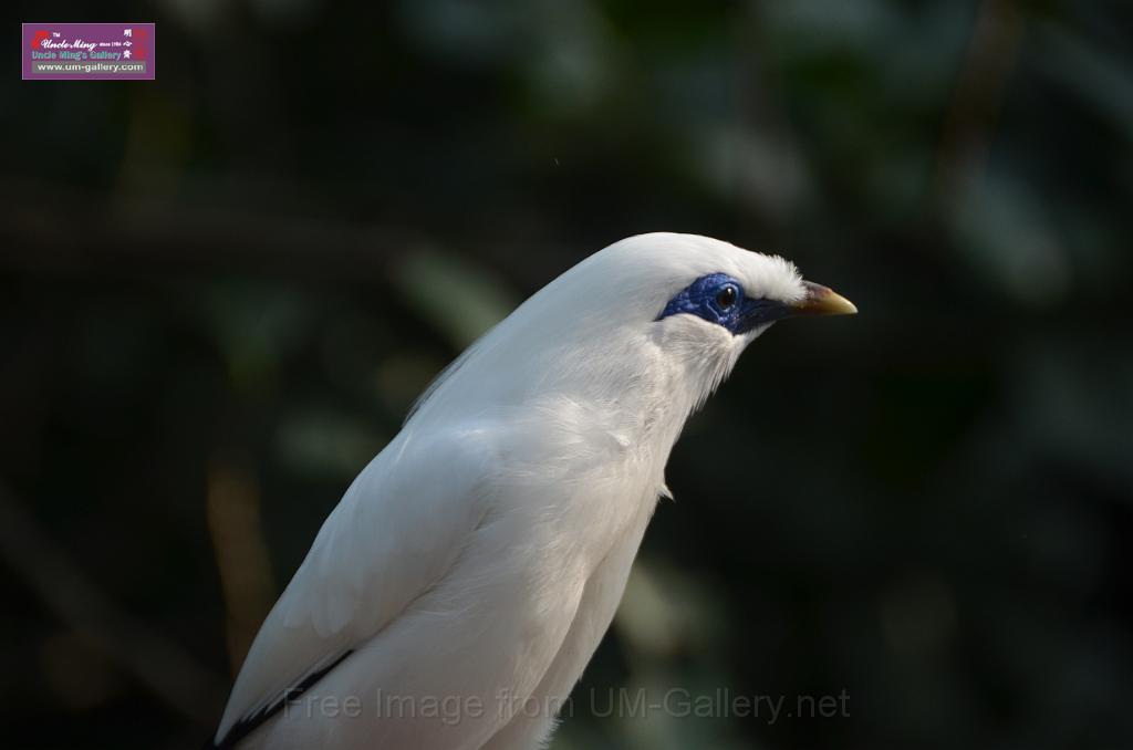 20150426jw-hk-park_DSC_0982.JPG