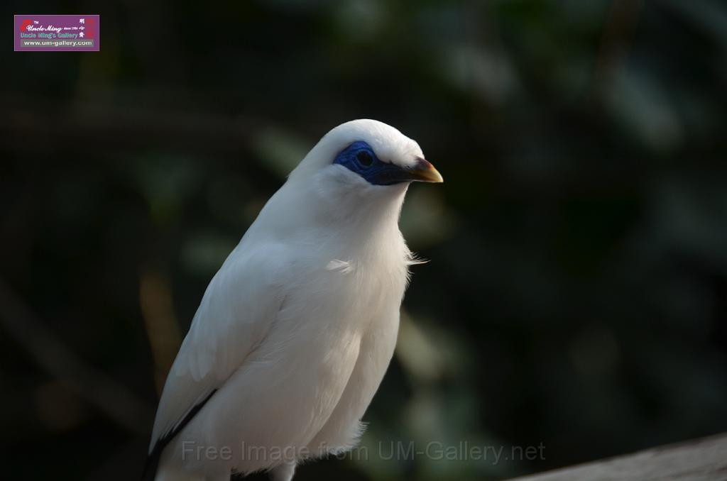 20150426jw-hk-park_DSC_0983.JPG