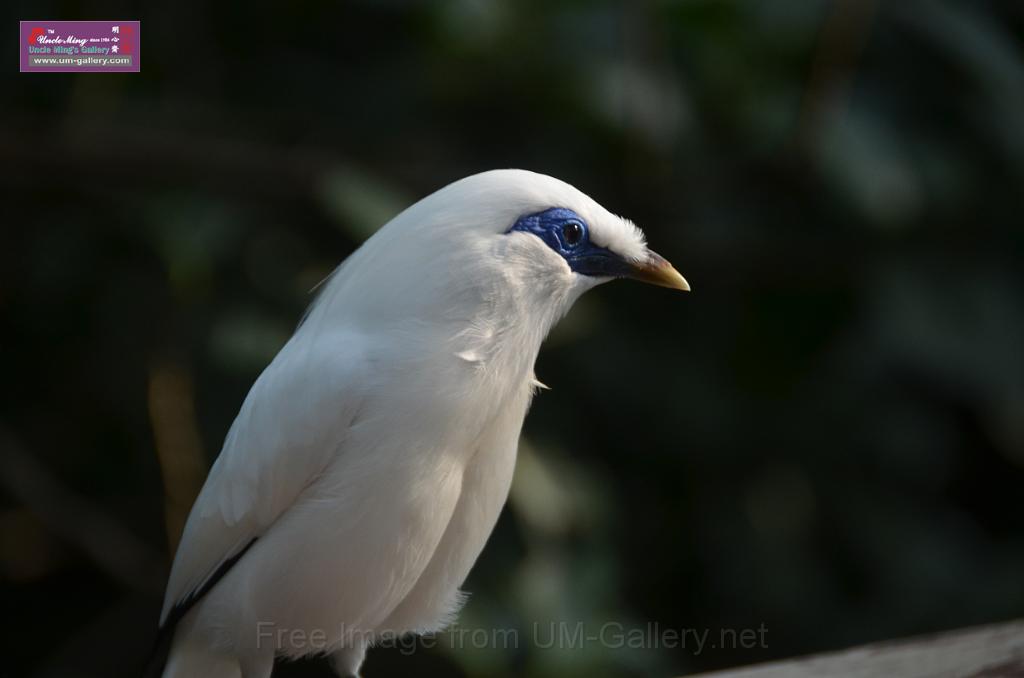 20150426jw-hk-park_DSC_0985.JPG