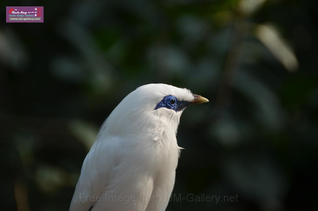 20150426jw-hk-park_DSC_0986.JPG