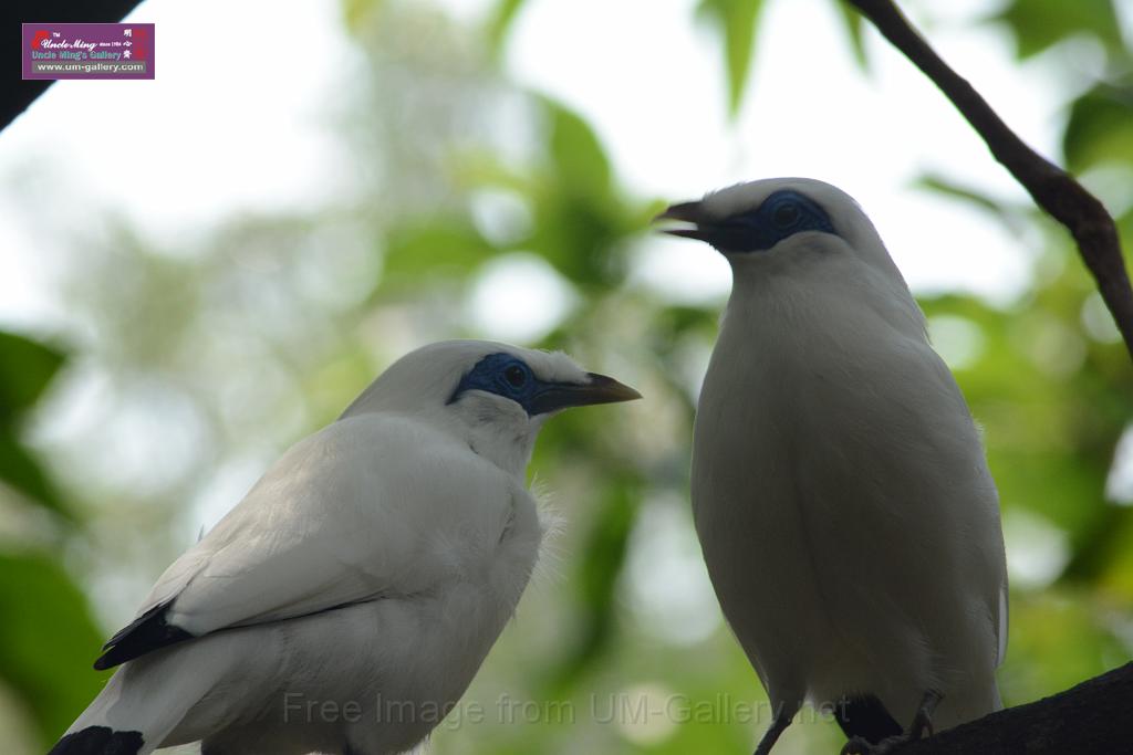 20150503sm_hk-park_DSC_2354.JPG