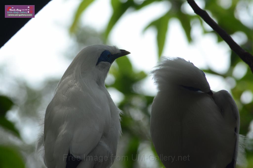 20150503sm_hk-park_DSC_2364.JPG