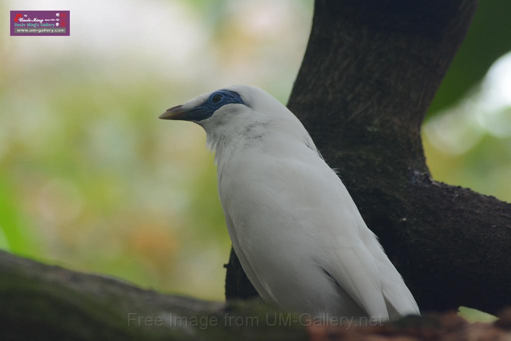 20150503sm_hk-park_DSC_2366.JPG