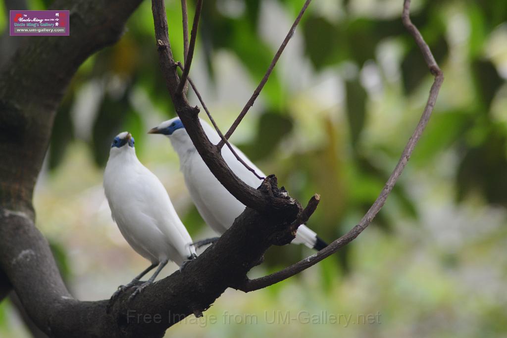 20150503sm_hk-park_DSC_2388.JPG