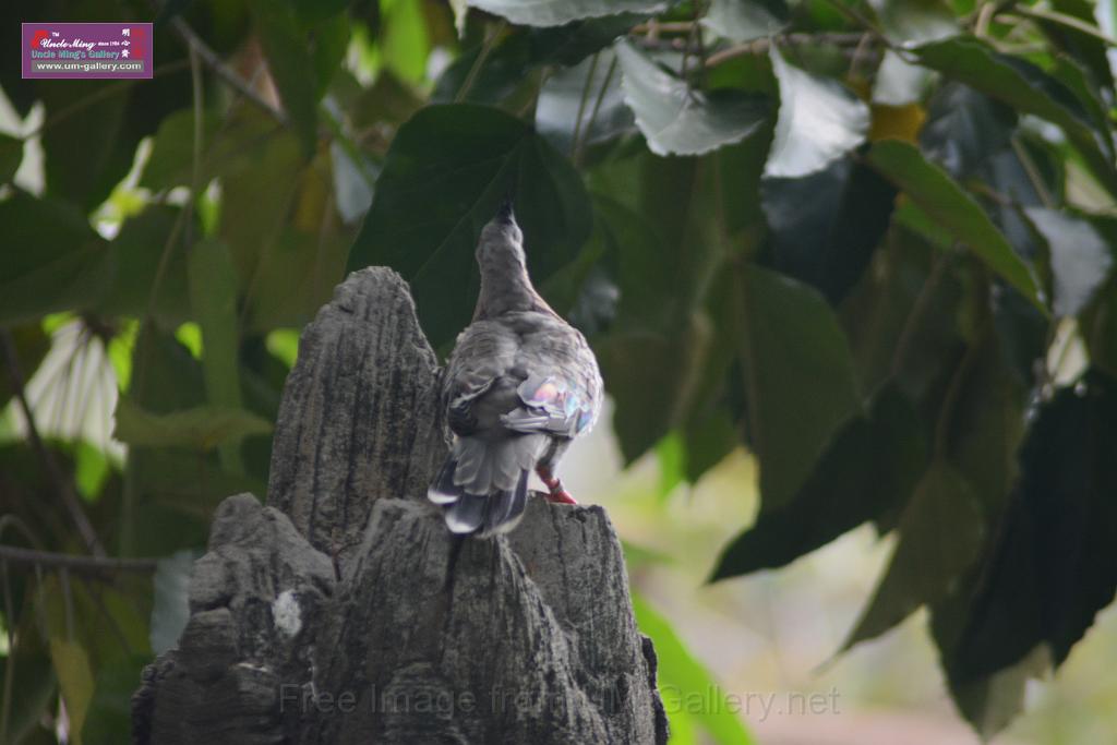 20150503sm_hk-park_DSC_2392.JPG