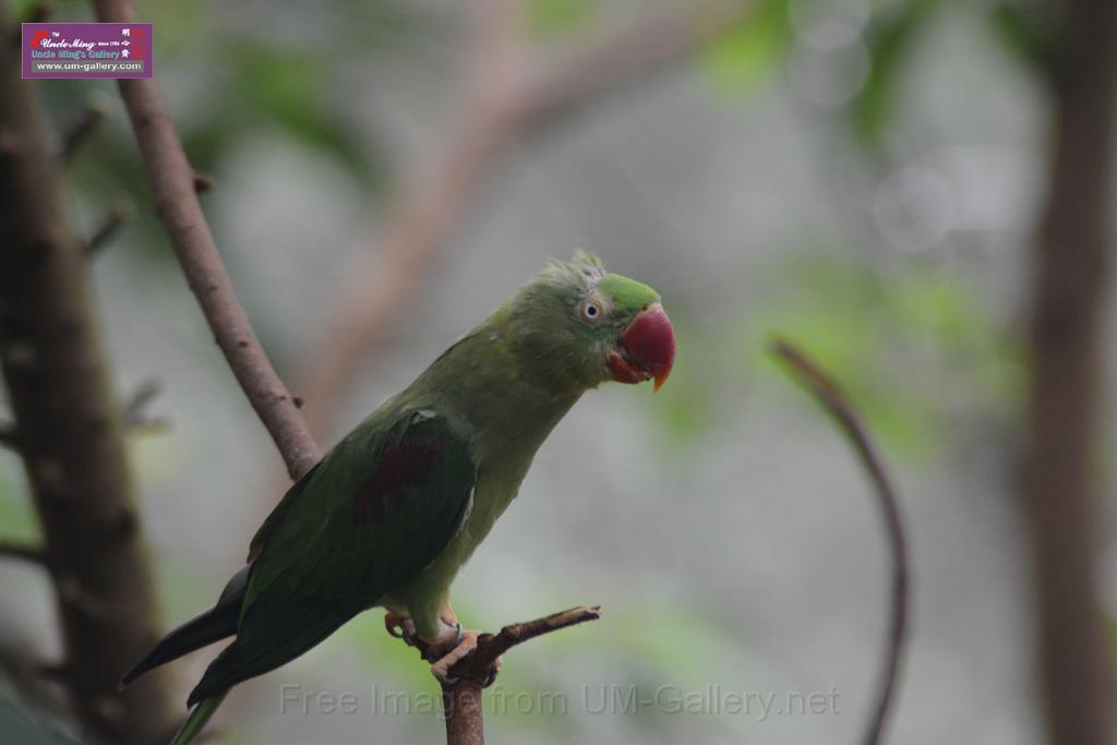 20150503sm_hk-park_DSC_2398.JPG