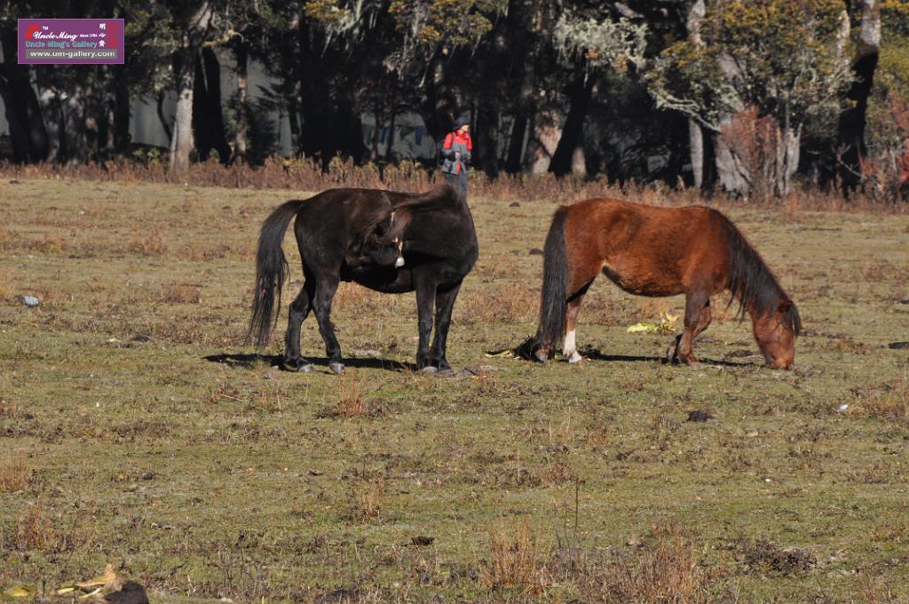 20121003sichuan_DSC_0436.JPG