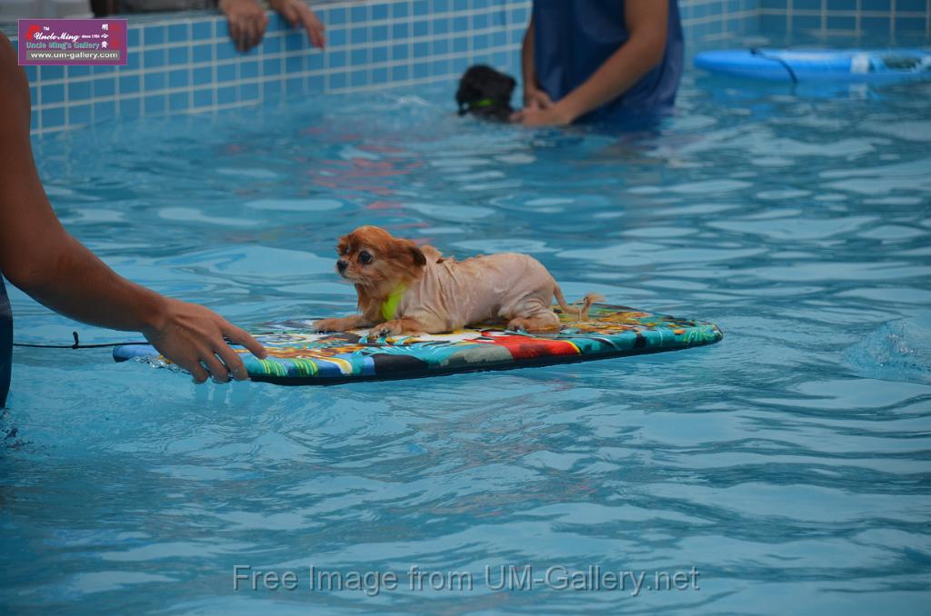 20110529saikung_DSC_0012.JPG