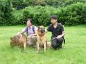 20130818jw_dog_training_P1140345