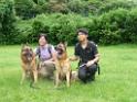 20130818jw_dog_training_P1140347