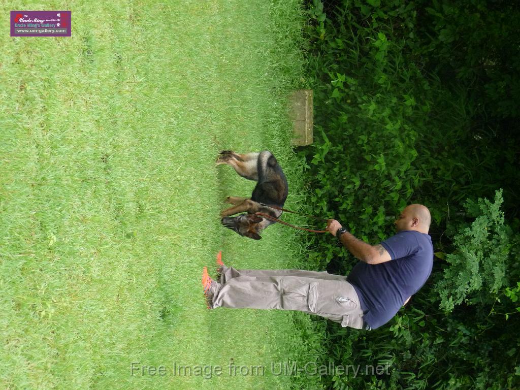 20130818jw_dog_training_P1140085.JPG