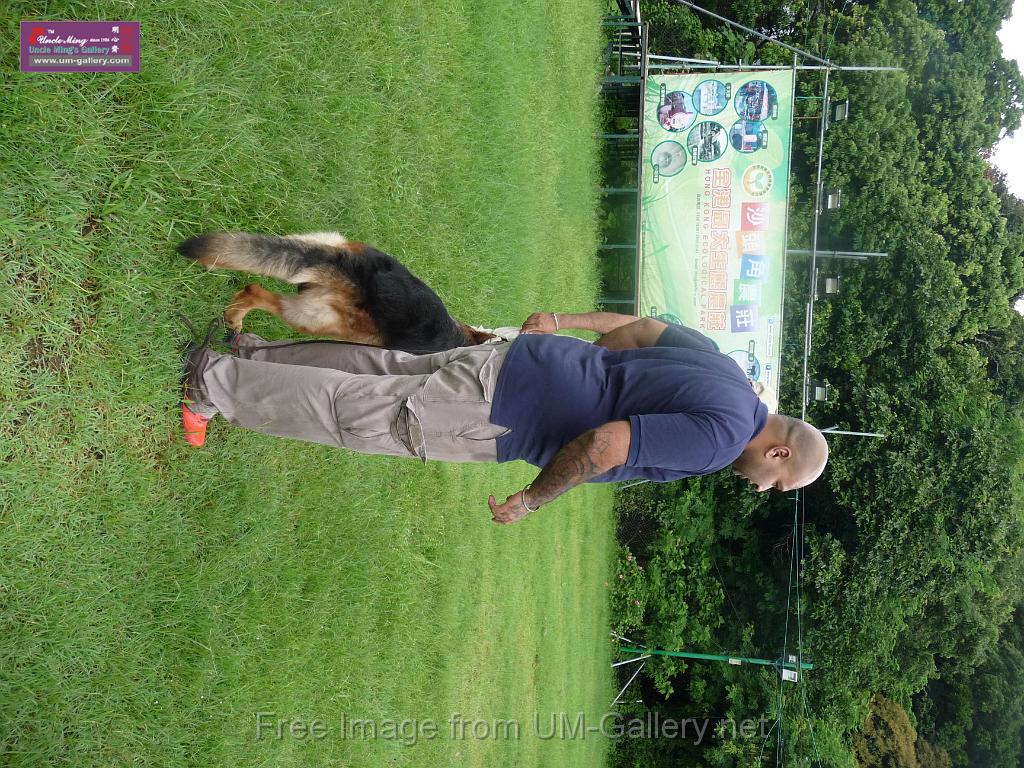 20130818jw_dog_training_P1140090.JPG