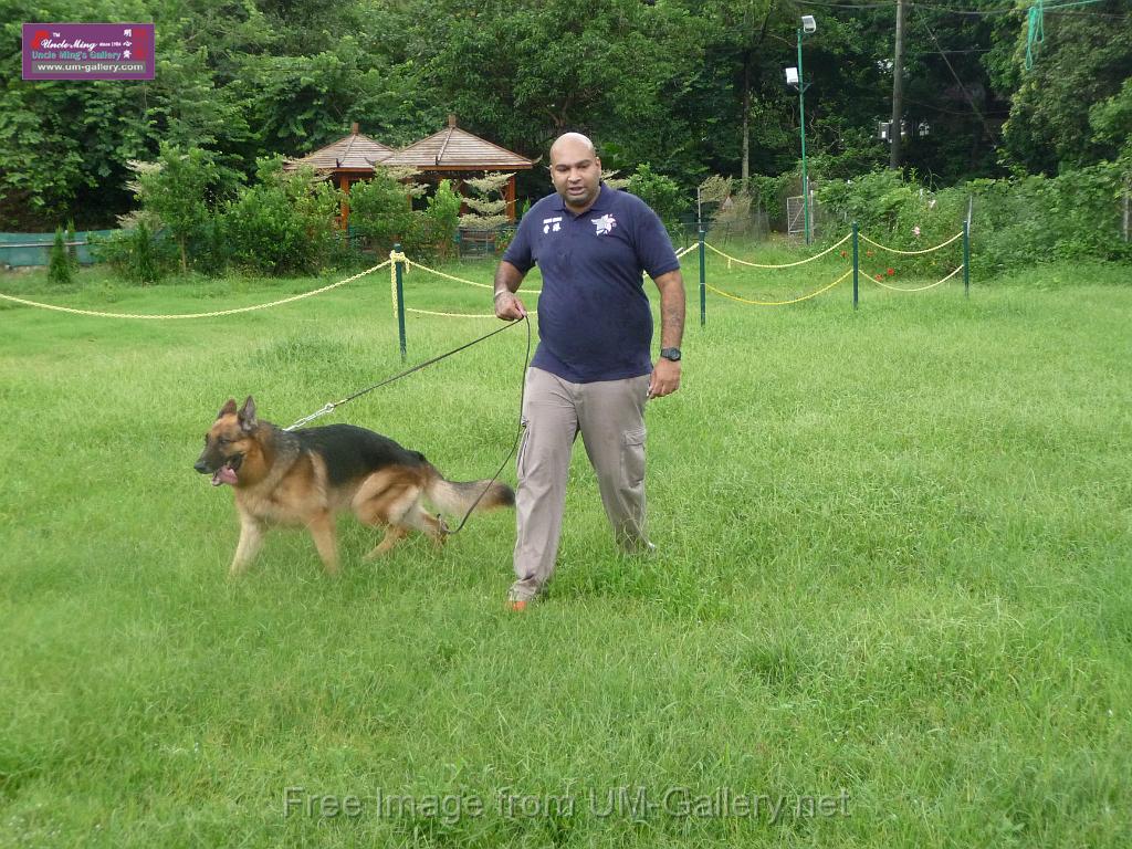 20130818jw_dog_training_P1140093.JPG