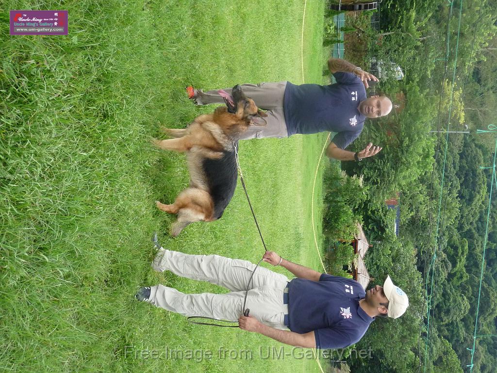 20130818jw_dog_training_P1140100.JPG