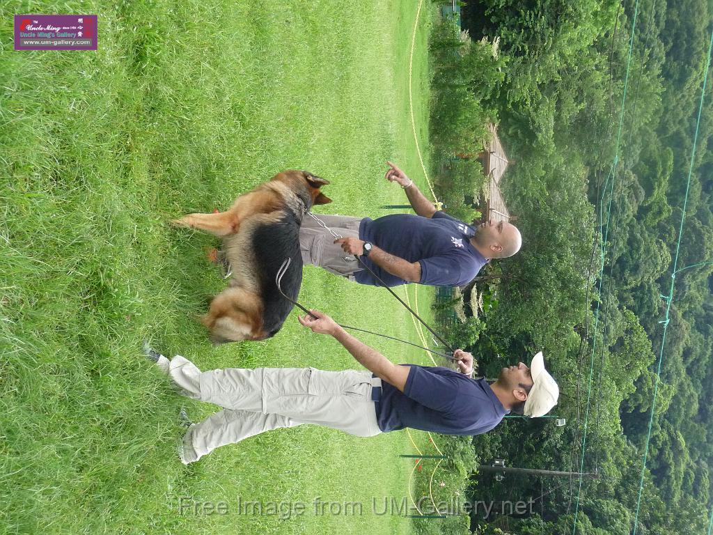 20130818jw_dog_training_P1140104.JPG