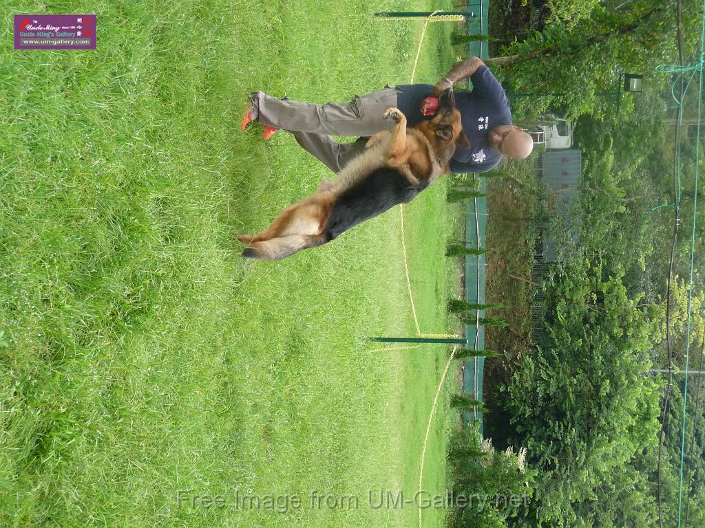 20130818jw_dog_training_P1140105.JPG