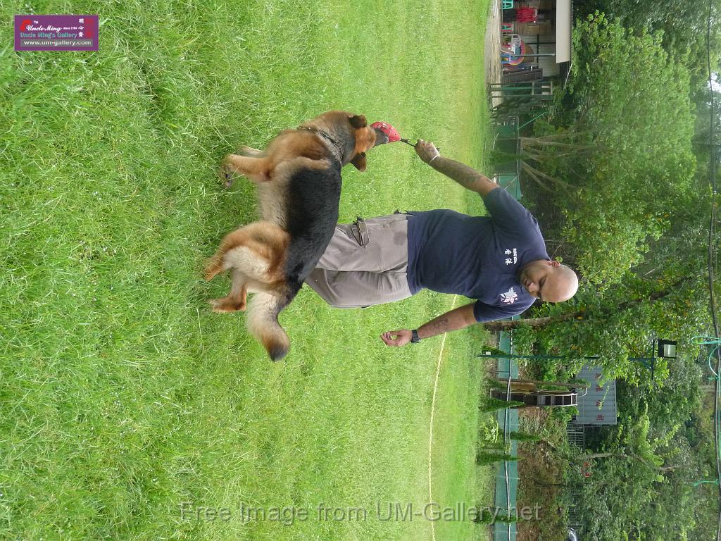 20130818jw_dog_training_P1140106.JPG