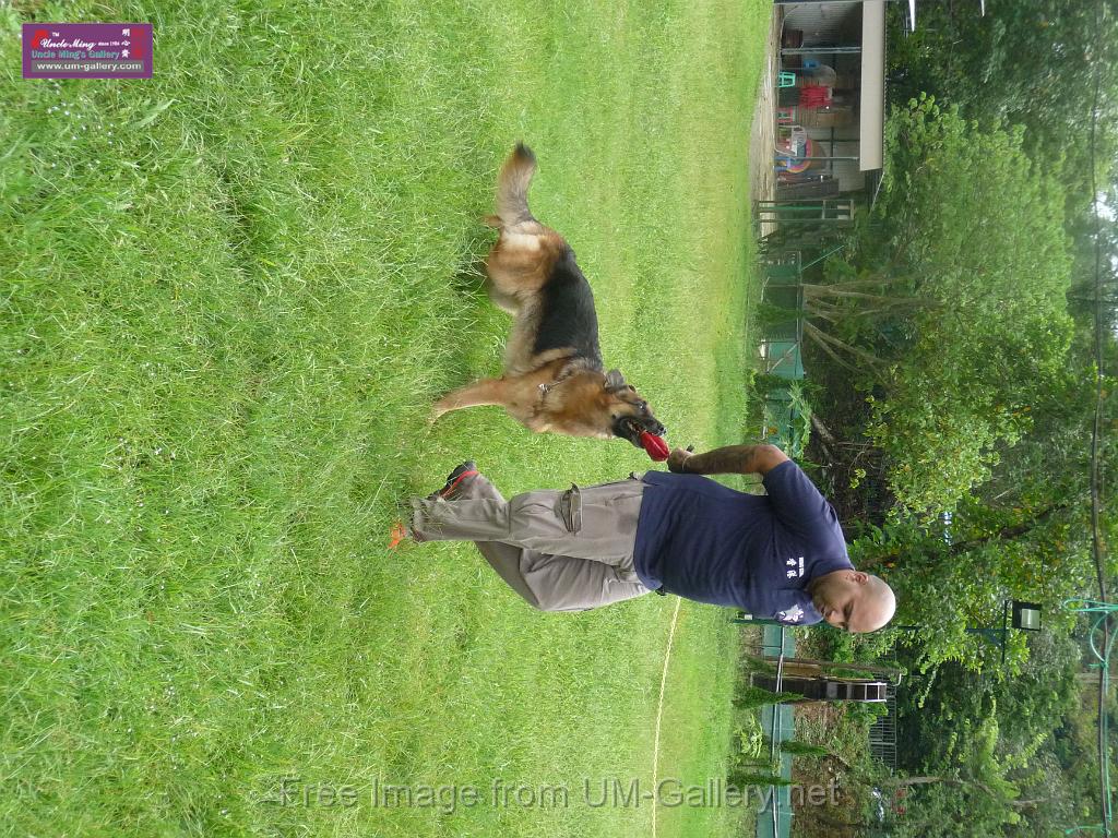 20130818jw_dog_training_P1140107.JPG