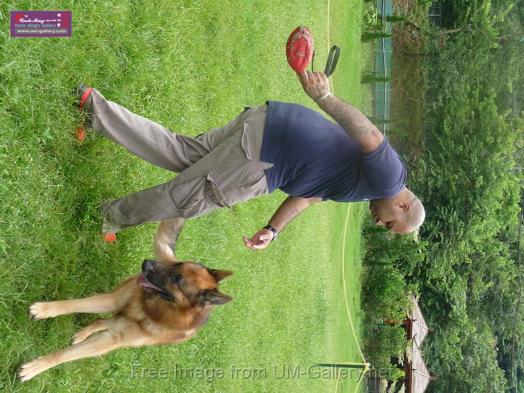 20130818jw_dog_training_P1140108.JPG