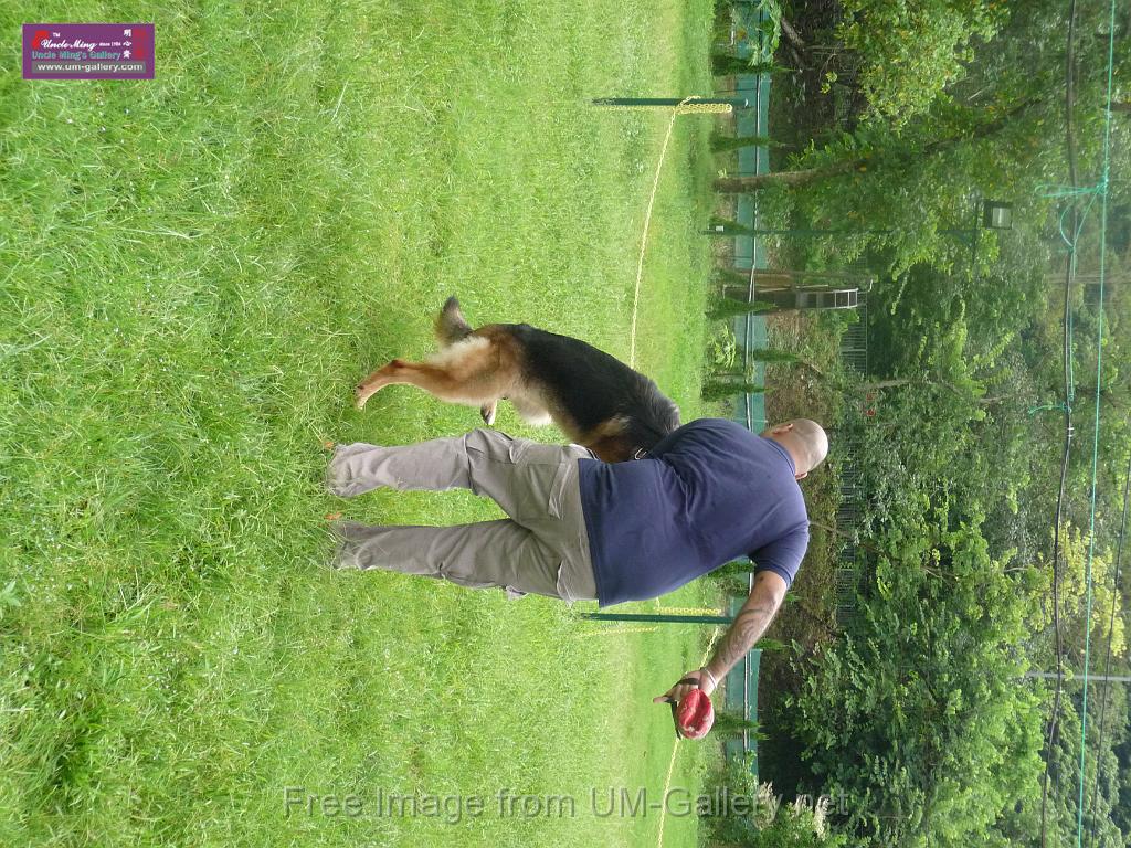 20130818jw_dog_training_P1140109.JPG