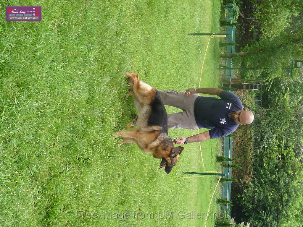 20130818jw_dog_training_P1140110.JPG