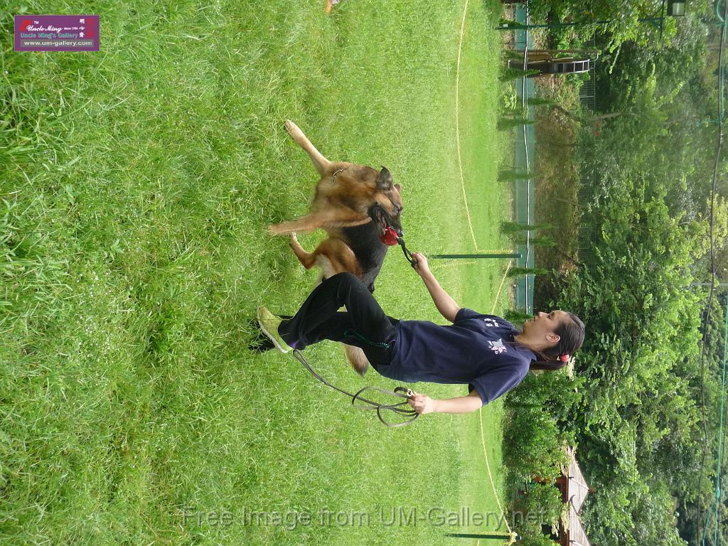 20130818jw_dog_training_P1140112.JPG