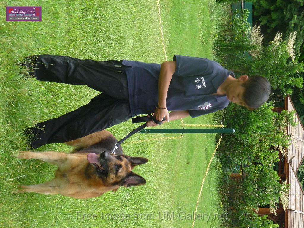 20130818jw_dog_training_P1140113.JPG