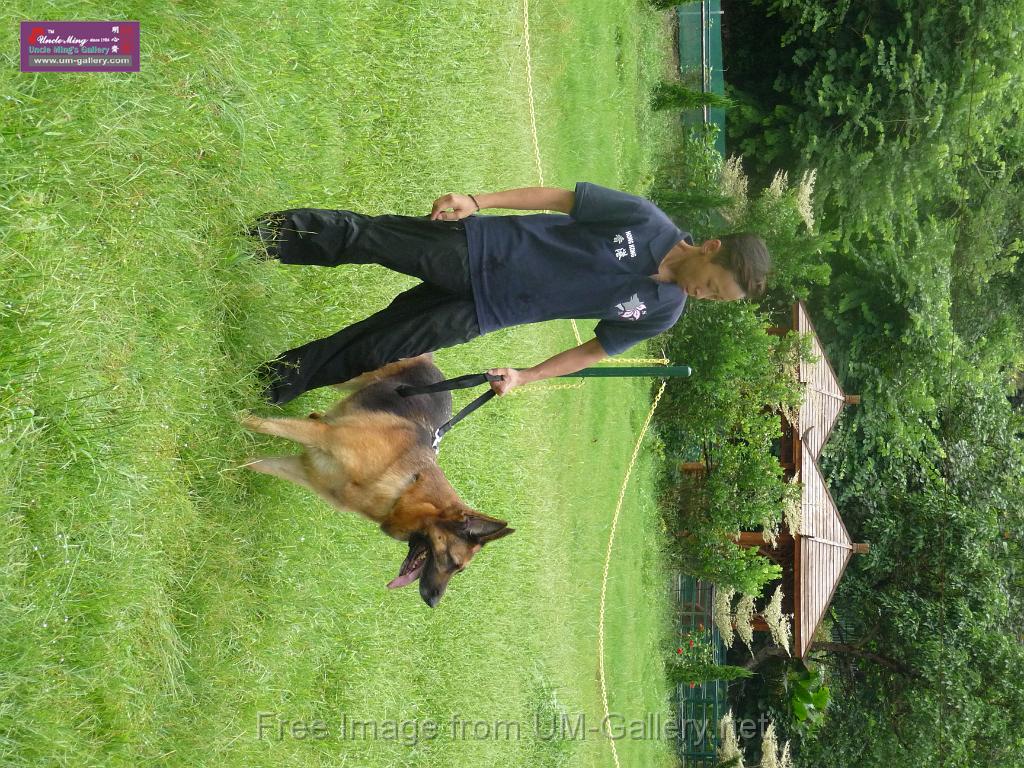 20130818jw_dog_training_P1140114.JPG