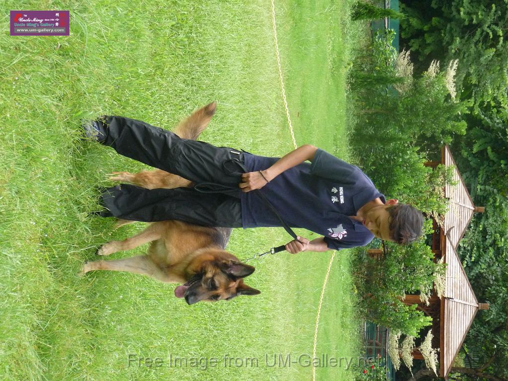 20130818jw_dog_training_P1140115.JPG