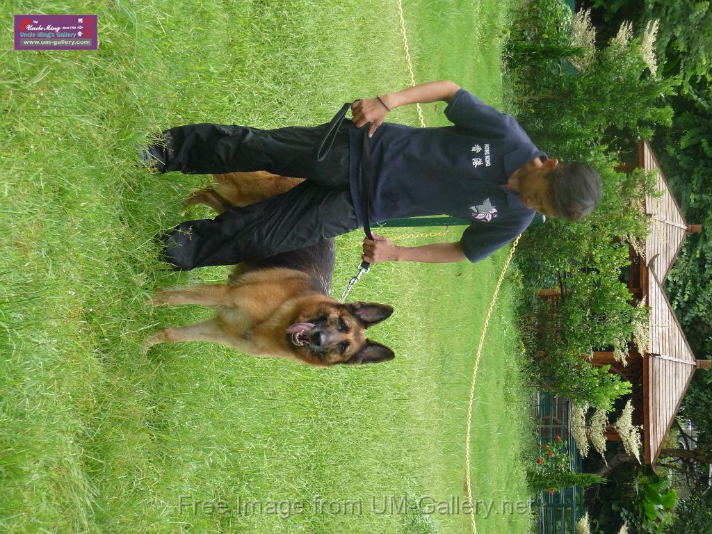 20130818jw_dog_training_P1140116.JPG