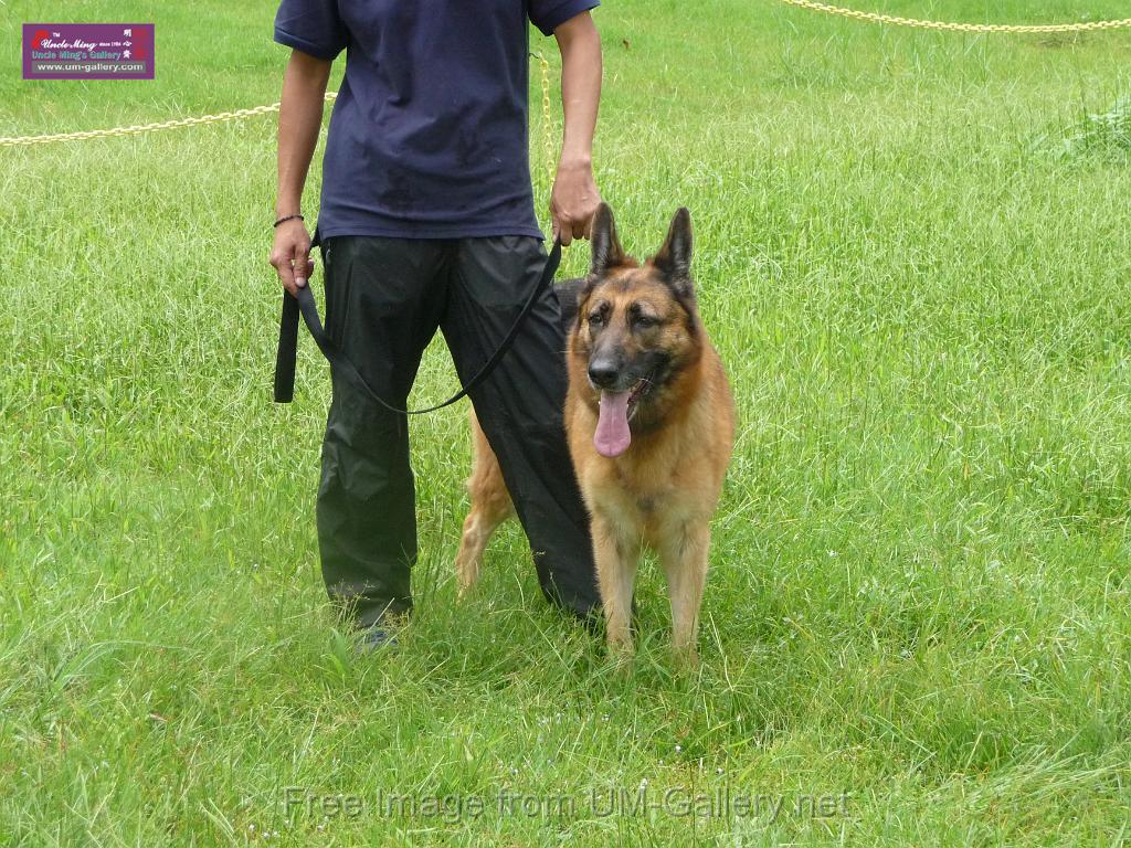 20130818jw_dog_training_P1140117.JPG