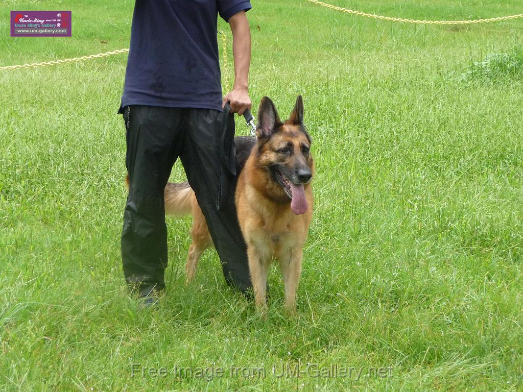 20130818jw_dog_training_P1140118.JPG