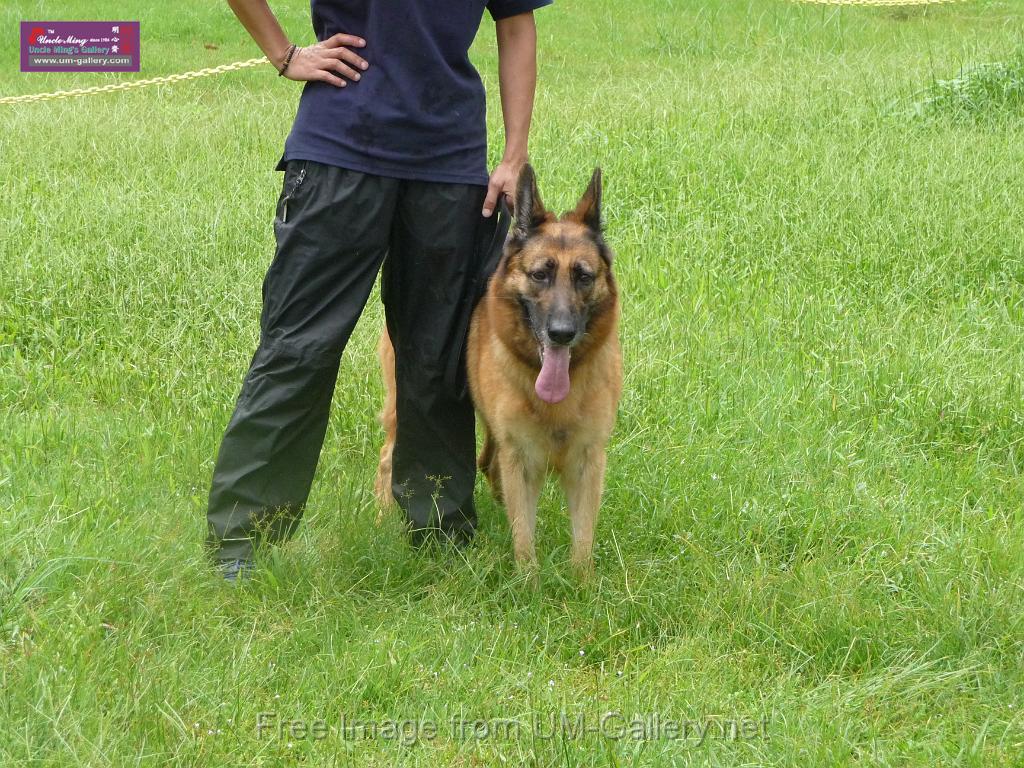 20130818jw_dog_training_P1140119.JPG