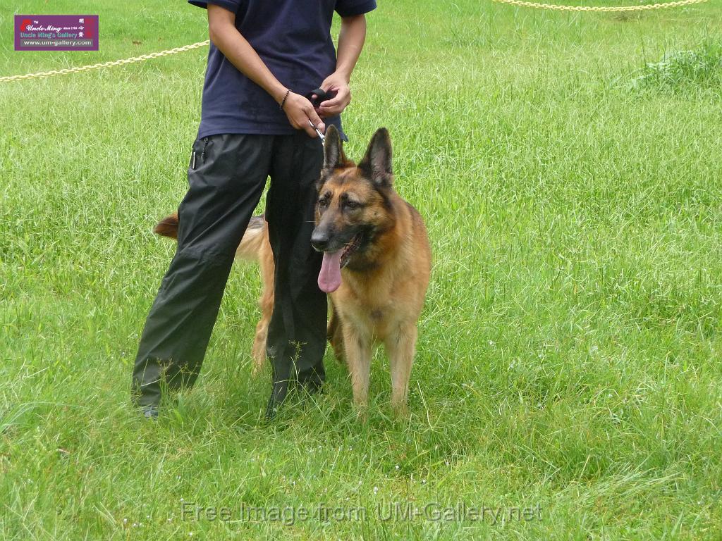 20130818jw_dog_training_P1140120.JPG