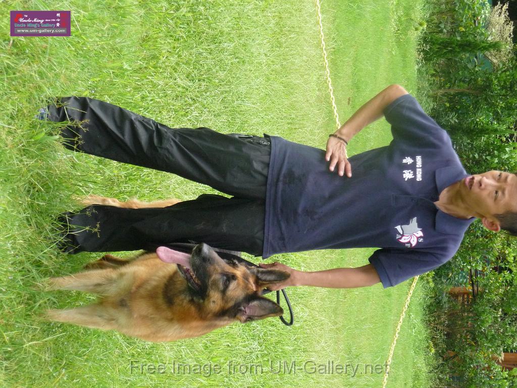 20130818jw_dog_training_P1140121.JPG