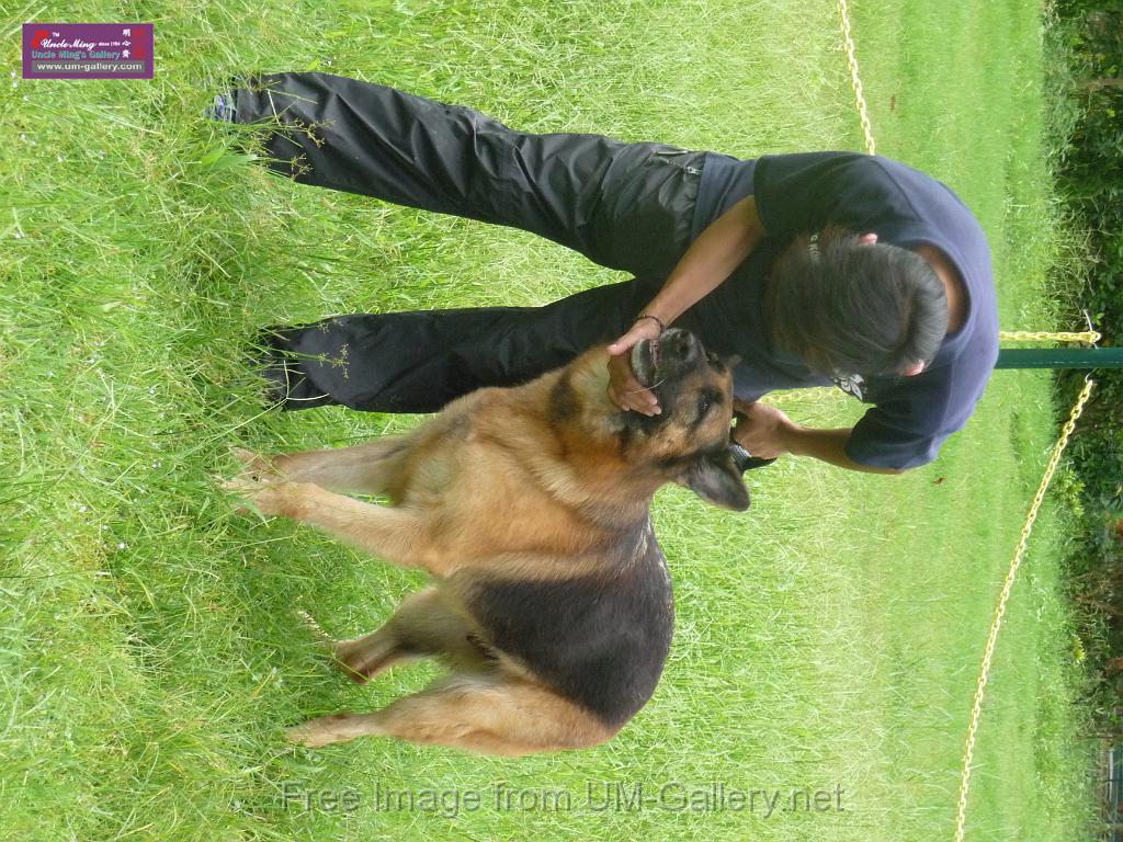 20130818jw_dog_training_P1140123.JPG