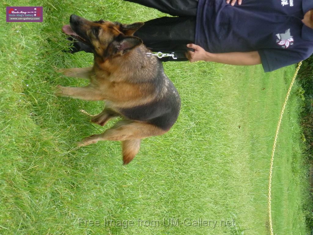 20130818jw_dog_training_P1140125.JPG